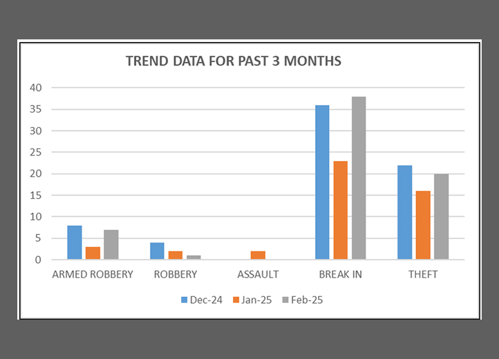 Crime Report February 2025