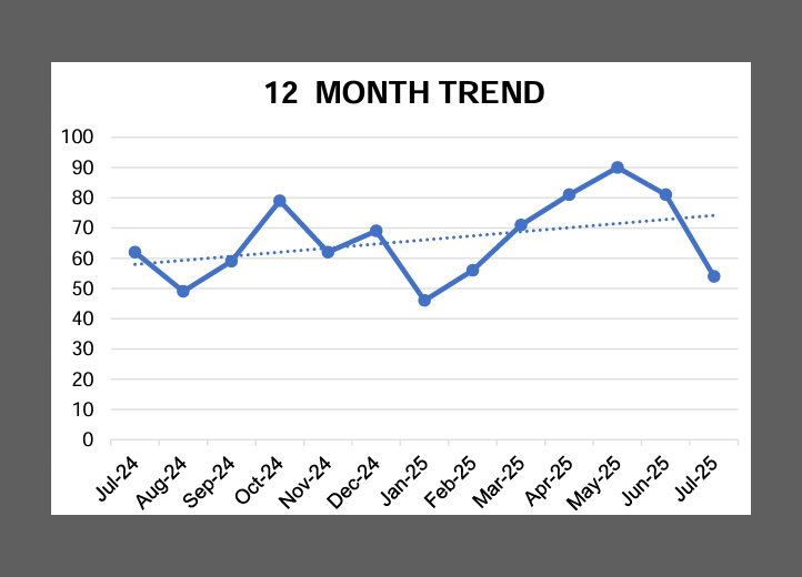 CRIME REPORT JULY 2025